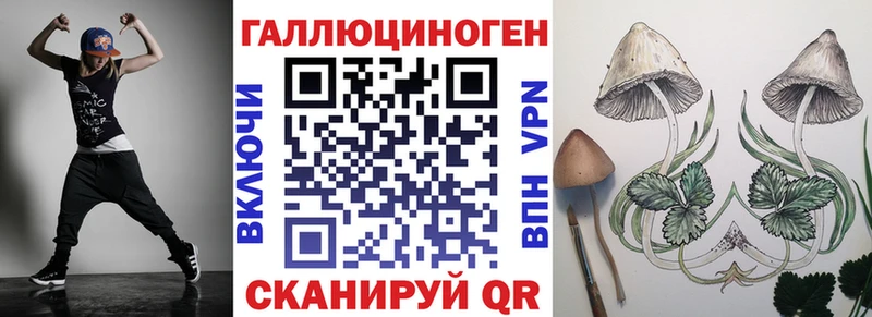 Псилоцибиновые грибы Cubensis  Дудинка 